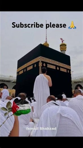 Woh mera Nabi hai #shorts #allah #shortsfeed #viral #islamicshorts #kaba #naat #tiktok