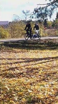 Houseboat "Waterbug" groceries and gas situation solved! our new cart for the bike.