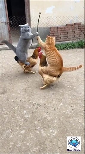 Who remembers the Atari game JOUST? 🤣