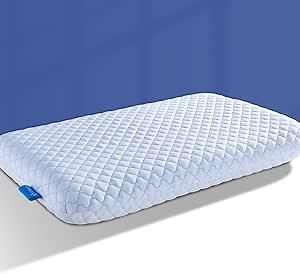 SofGlowly Ultra Thin Flat Pillows for Sleeping, Cooling Memory Foam Pillow 2.75 inch Height Ultra Thin Pillow,Slim Bed Pillows for Stomach Back Sleeper,Standard Size -16x25 Inch