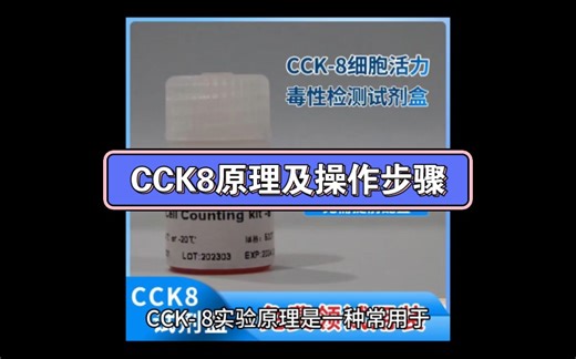 CCK8原理及操作步骤