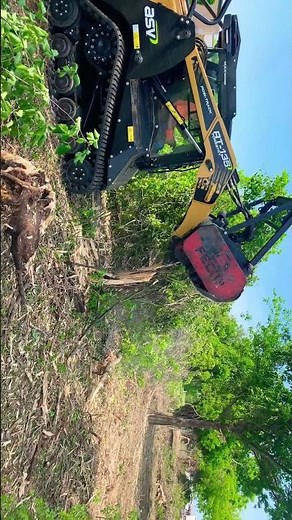 ASV RT 135 Forestry Mulching Machine - easily handles an 8” tree