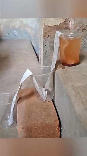 💧 Mini Water Filter Experiment | Science at Home! 🧪|| #Shoers #science #viralshorts