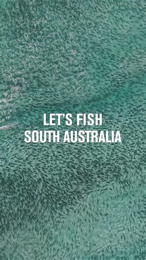 Let's fish, South Australia! With most of our coastlines unaffected, and plenty of freshwater options, fishing is open and waiting for you. Every fishing trip supports local tackle stores and coastal towns that make our fishing community thrive. 🎁 Get ready to WIN! We're giving away tens of thousands of dollars in prizes that'll help you fish local, support local, and have a great time on the water. Follow us, @letsfishaustralia, on Facebook and Instagram to stay updated! 👉🏼 Visit our website