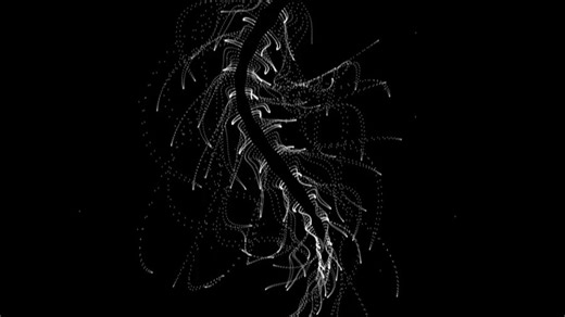 神奇的公式生命@yuruyurau