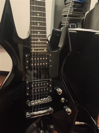 My First Guitar Experience with Harley Benton