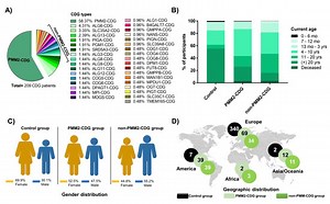 New Insights into Immunological Involvement in Congenital Disorders of Glycosylation (CDG) from a People-Centric Approach