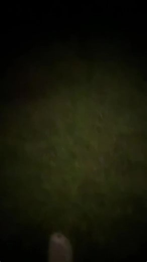 Loves Limi: A Look at Nissan NP300 D23