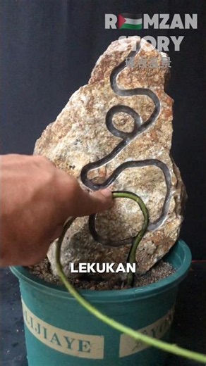 How to Make a Stone Bonsai