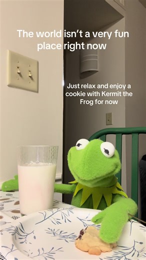 The world has been very dark and sad recently. So anyone who wants to, come and stop by and share a cookie with me #kermit #muppet #kermitthefrog #themuppets #muppetvision3d