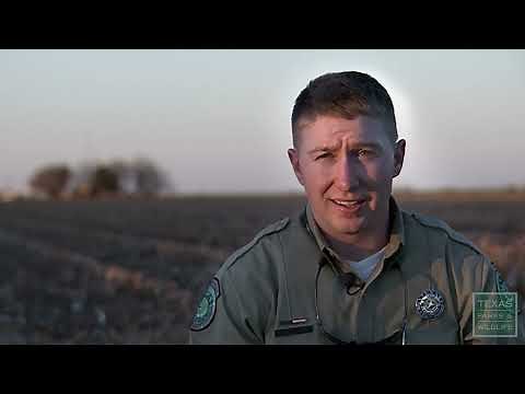 Warden of the County