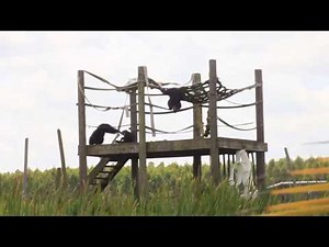 Fire Hose Enrichment - Save the Chimps