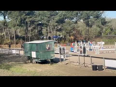 Cheval à vendre - Une fabuleuse conversion ! - Vidéo 4 - equirodi.com