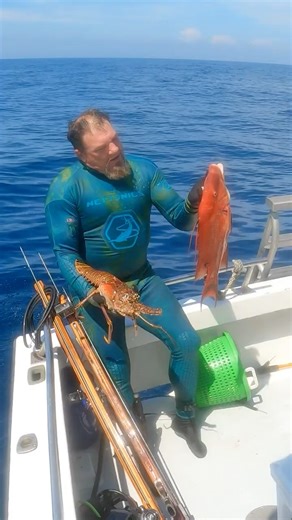 HUGE Hogfish and Spiny Lobster