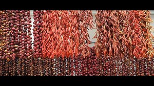 52K views · 841 reactions |  Madeira Island, an atlantic paradise.   Madeira, um paraíso no Atlântico.  A video by Barbara Tarka and John Giannelis ❤️ Check it in full quality here: https://www.youtube.com/watch?v=yN6IK1lh6YE #portugal #madeiraisland #madeira #funchal | Madeira Island for Travellers | Facebook