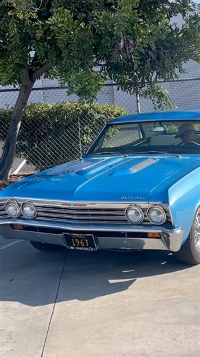1967 Chevy Chevelle, nice restoration ￼