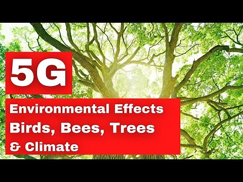 5G Effects, Cell Towers, Trees, Climate Birds Bees and Trees-