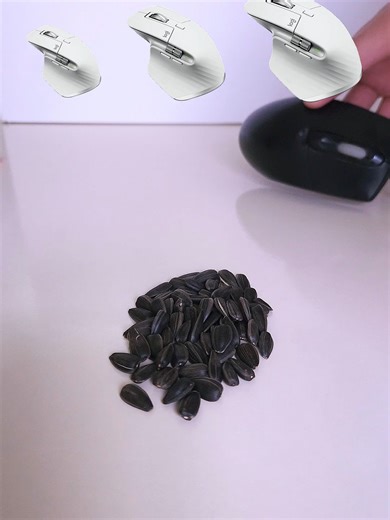 Wait for REAL MOUSE!😱 #fyp