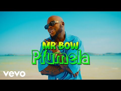 Mr. Bow - Pfumela (Official Music Video)