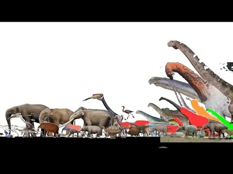 Prehistoric size comparison 5 of 5