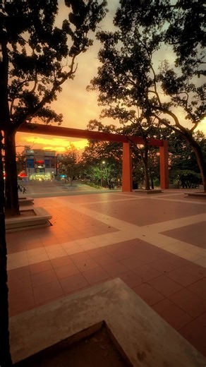 SLIIT turns into a magical world in the evening ✨ #sliit #sliitvibe #love #sliitlife @Chamuditha_Bingun 📸
