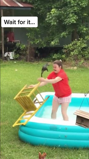 Hilarious squirrel fails #pets #funny #squirrel