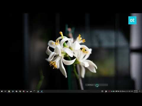 How to lock the Start menu layout on Windows 10