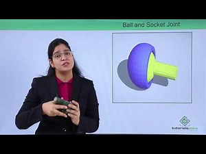 Class10th – Ball and Socket Joint | Locomotion and Movement | Tutorials Point