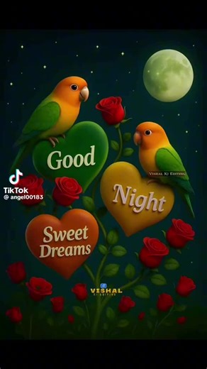 Iove master (@iove.master)’s videos with original sound - Iove master