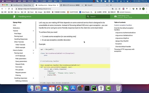 DjangoNinja：异常处理