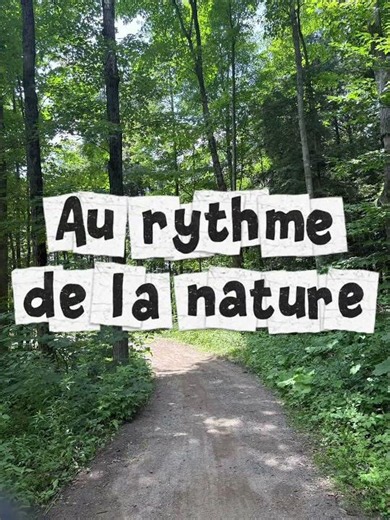 Bois-de-belle-Rivière