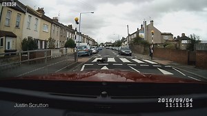 Why did the cat cross the road? Watch this cat use a zebra crossing. | BBC London