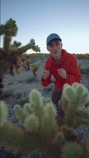 How Does Aperture Work in Photography? SIMPLE Explanation.