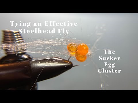 Steelhead Fly Tying- The Sucker Egg Cluster