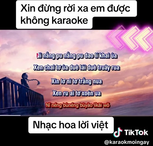 Karaoke Xin Đừng Rời Xa Em Được Không - Nhạc Hoa Lời Việt