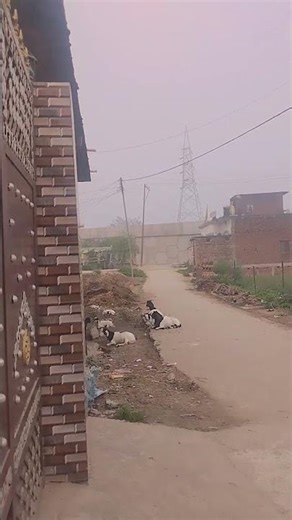 #song #music #funny #minivlog #ekmotahathighumechala