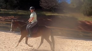 Valerie has been backing this lovely German Riding pony for her young daughter with infrequent, short sessions and doing a lovely job. I thought this clip offers a good teaching moment when working towards a consistent connection on a green bean, in that oftentimes, all that is needed is ‘let go,’ whether in hand pressure, a more forward hand, or, as in this case, simply feeding another inch or two of rein. The whole way of going changes when a horse has full use of their neck for balance. Great