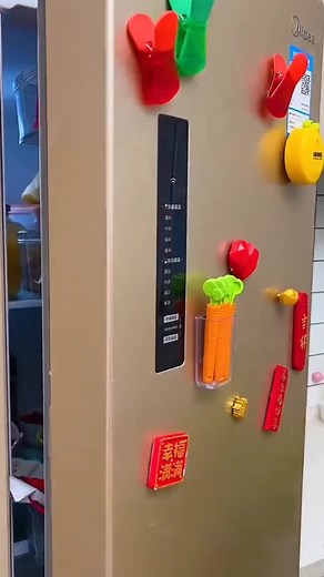 Refrigerator side door divider #kitchengadgets #kitchenware #kitchenhacks #rack #organizer #organization #organizedhome #amazonmusthaves #amazonprime #amazonfinds2023