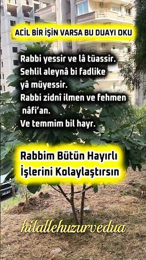 Rabbi Yessir Duası 🤲 Her Hayırlı İşe Başlamadan Önce Okunacak Dua | İşlerin Kolaylaşması İçin