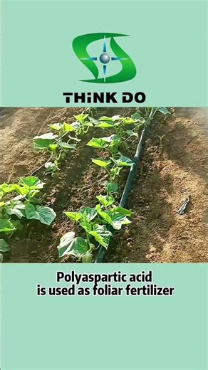 Polyaspartic Acid as Foliar Fertilizer: Boosting Plant Health & Growth Naturally