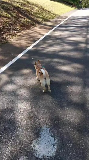 PattyCakes (@ms.patty.cakes)’s videos with original sound - PattyCakes