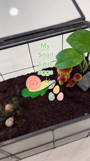 Holly & Milkshake on TikTok