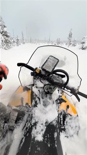 SKANDIC SWT 550 #snow