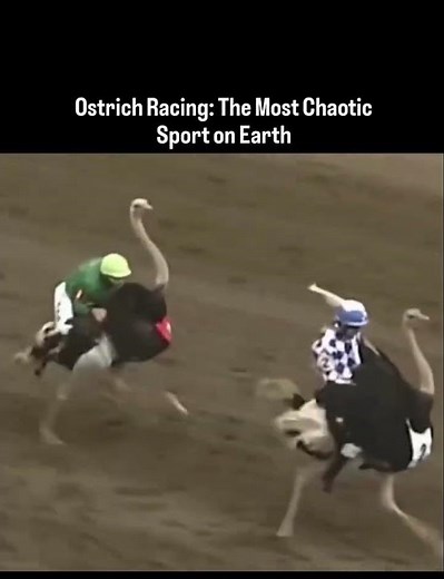 Kim Kardashian Wins HUGE Ostrich World Championship Race!
