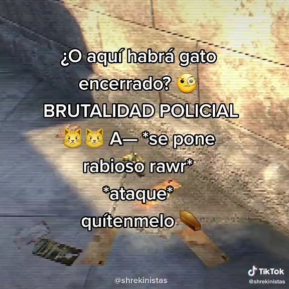 ¿Qué hizo el gato? Arrestos y locuras en Shrek