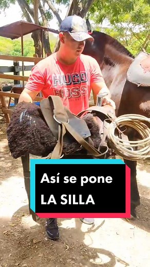 Cómo colocar correctamente la silla a un caballo