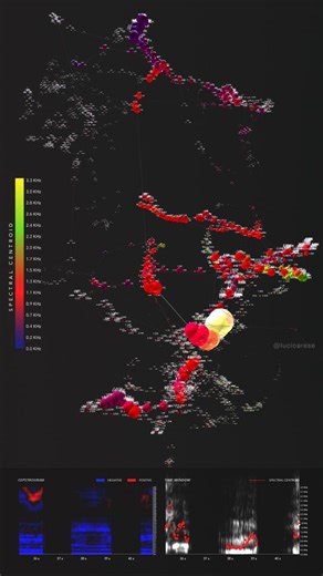 Lucio Arese on Instagram: "First analytical output of a humpback whale song processed through my birdsong analysis framework. It worked flawlessly without any adaptation of the pipeline, and the whale vocalization unfolds into coherent geometric structures, a truly exciting starting point for further explorative work. A big thank you to Frank Eckler @geographe_photo and @geographemarineresearch for sharing these amazing recordings and their interest in my research. We're very excited and looking