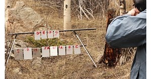 Plink a tune with these Musical Targets (VIDEO)