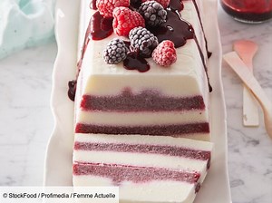 Semifreddo aux fruits rouges : découvrez les recettes de cuisine de Femme Actuelle Le MAG