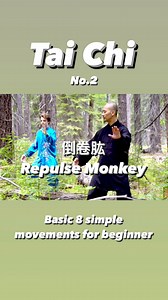 45K views · 1.3K reactions | Repulse Monkey 倒卷肱- Simple Tai Chi 8...
